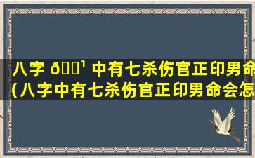 八字 🌹 中有七杀伤官正印男命（八字中有七杀伤官正印男命会怎样）